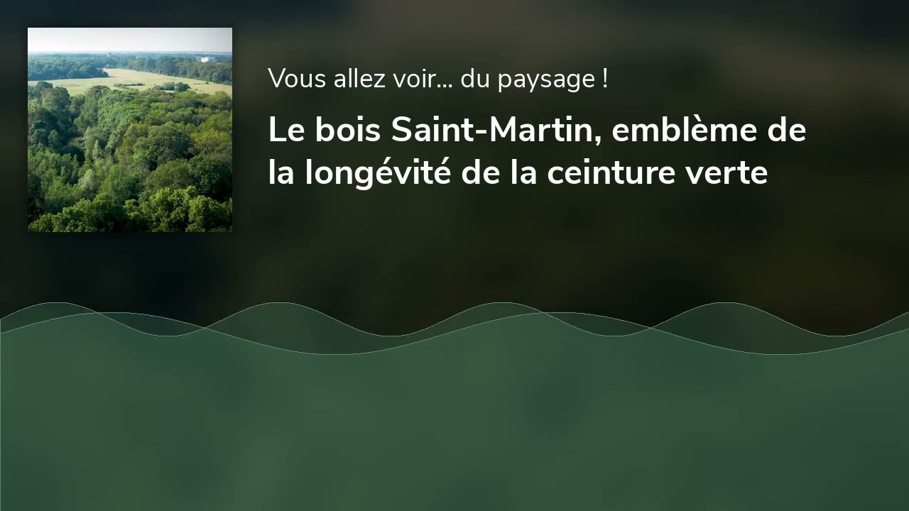 Le bois Saint-Martin, emblème de la longévité de la ceinture verte
