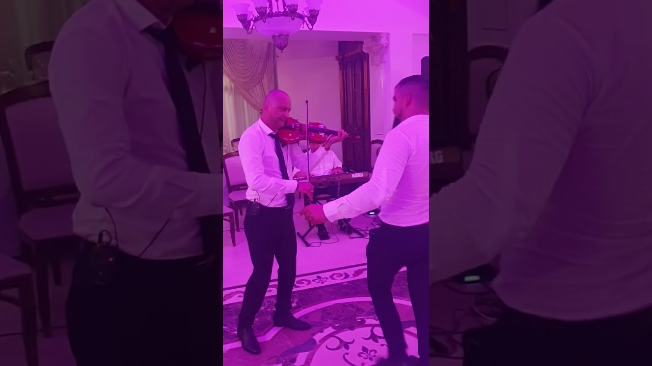 Sorin Negrea ! Un colaj instrumental Casa Crișan ! Contact 0751713238