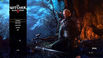Witcher 3 save game bug