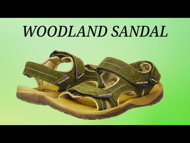 Buy WOODLAND Men Olive Sandals Online at Best Price