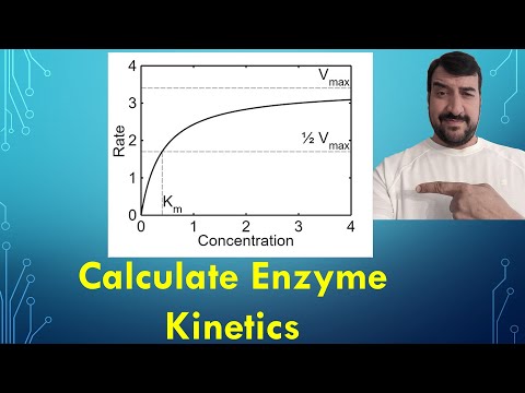 วีดีโอ: คุณคำนวณ Km และ Vmax อย่างไร?