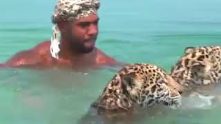 | 9GAG | Big kitties swimming