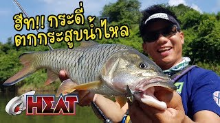 Heat Metal Vib! Fishing Hampala Kangkra Chan