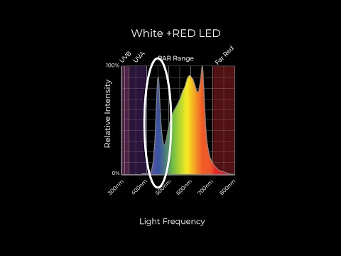 וִידֵאוֹ: אור אדום או כחול לצמחים - השפעות של אור אדום וכחול על צמחים