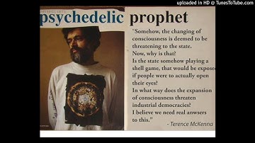 Do Not Be Afraid To Go It Alone - Terence Mckenna