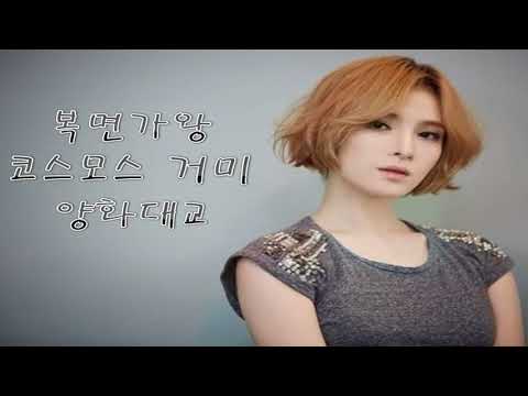[복면가왕] 소녀의 순정 코스모스 거미 - 양화대교