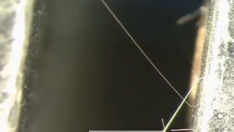 Video showing Tin Whiskers