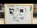 《漫画解説》ブラックジャック「畸形嚢腫」
