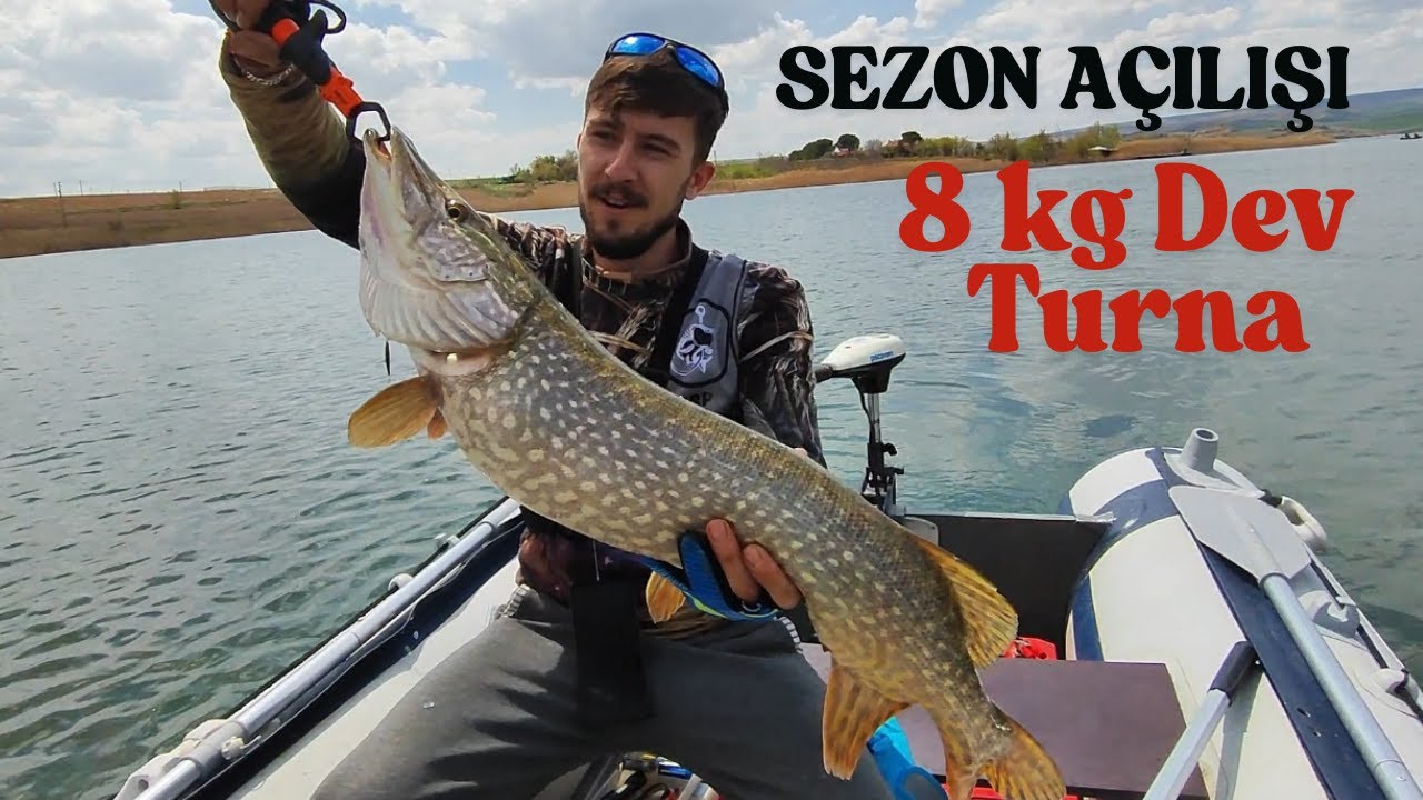 2025 TURNA AVI  SEZONU AÇILIŞI  DEV TURNA 8 KG