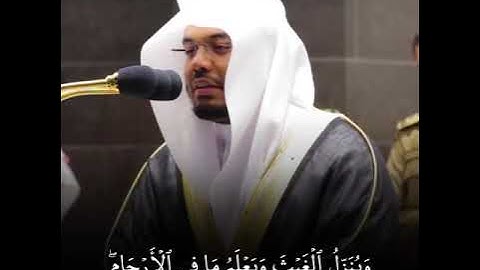 وما تدري نفس بأي أرض تموت ياسر الدوسري حالات واتس   تلاوة خاشعة
