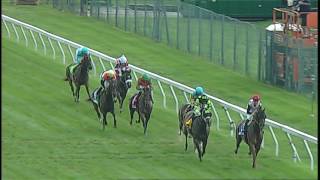 pimlico 5 19 17 race8