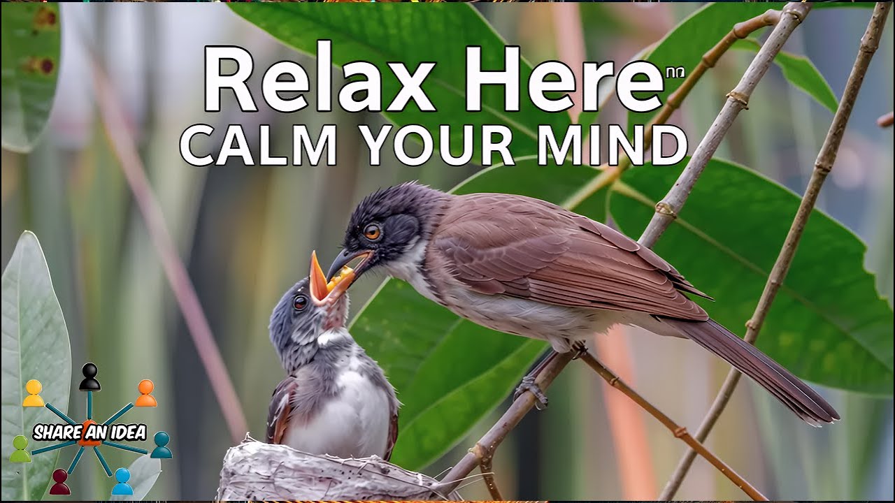 Fall Asleep Fast 😴 | Relaxing Music with Mama Bird & Gentle Nature Sounds