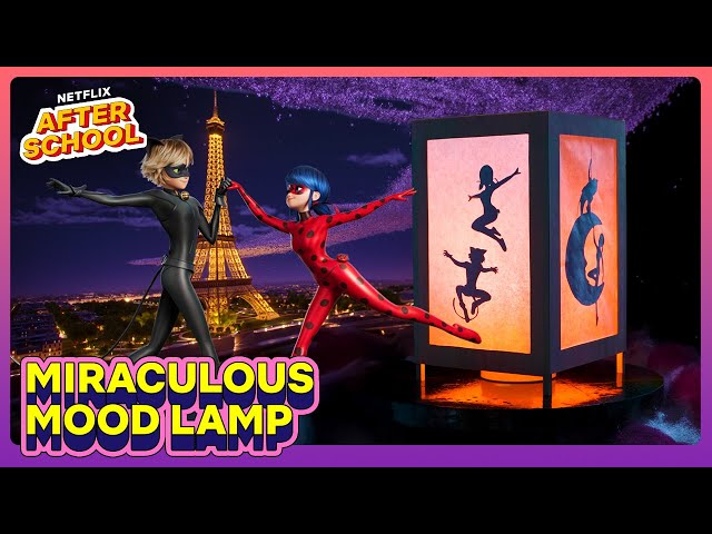 Miraculous: Tales of Ladybug & Cat Noir - Grab & GO