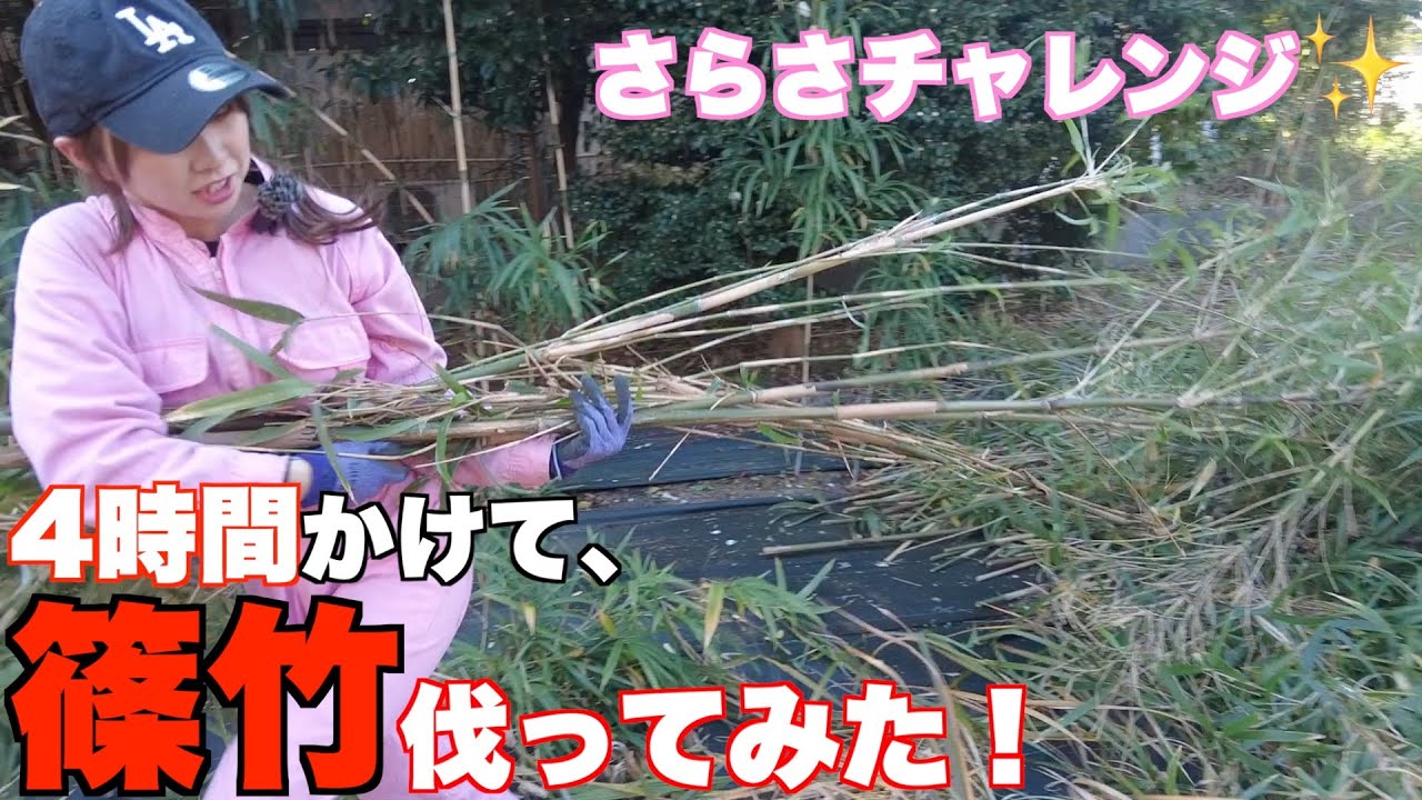 Bamboo Cutting] I Tried It and It Was So Hard I Almost Cryed - YouTube