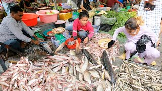 The Cambodian Food Market Scenes in Phnom Penh City - Fresh Fish, Vegetables, Meat, Pork & More