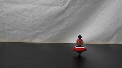 1Q50.10 Precessing Top