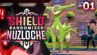 GALAR IS RANDOMIZED! - Pokemon Shield RANDOMIZER Nuzlocke!