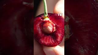 🎧🔊 Dale al play y saborea el momento cereza 🍒 | Buenas Hasta el Hueso