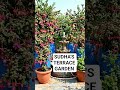 MY TERRACE GARDEN transformation by YT Create 🙄#shorts #howtocreateaivideosforyoutube