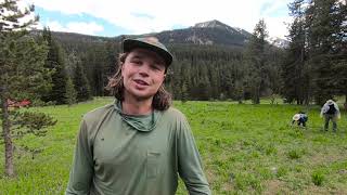 Absaroka-Beartooth Wilderness:  a True Wilderness Adventure