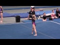 Skyler downs level 7 floor routine 2017 state competition 9600