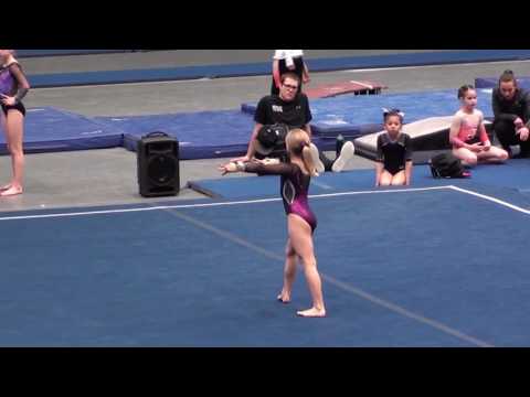 Skyler Downs Level 7 Floor Routine 2017 State Competition 9.600
