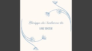 Blåsippan Ute I Backarna Stå