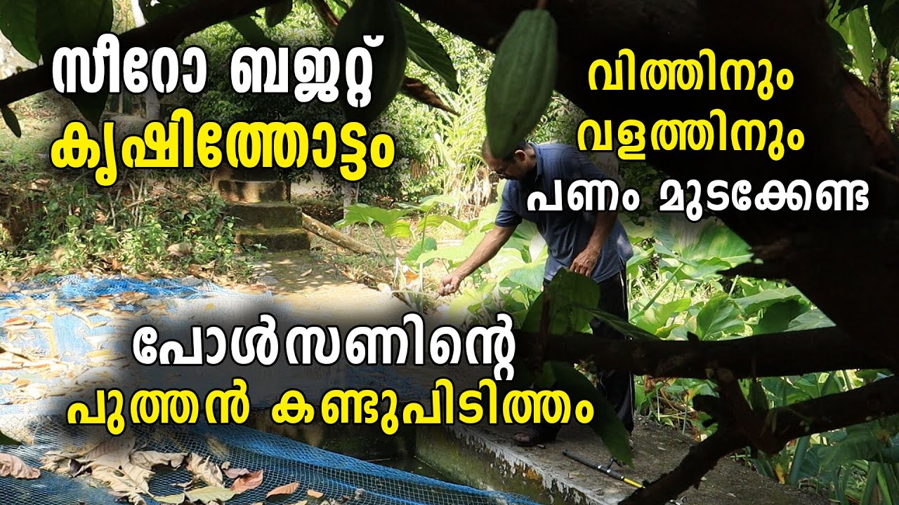 സീറോ ബജറ്റിലെ കൃഷിത്തോട്ടം | വിത്തിനും വളത്തിനും പണം മുടക്കേണ്ട | പോൾസണിന്റെ പുത്തൻ കണ്ടുപിടിത്തം
