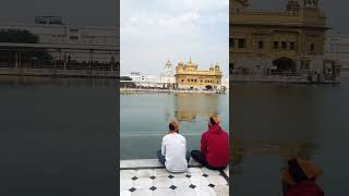 Teri Kudrat #thevoiceofsikhism #shortsvideo #srigururamdasji #sridarbarsahib #kirtanshorts #shorts