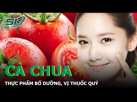 Cà Chua Thực Phẩm Bổ Dưỡng, Vị Thuốc Quý