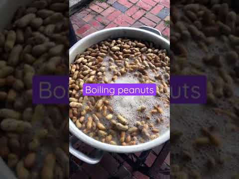 How to Boil