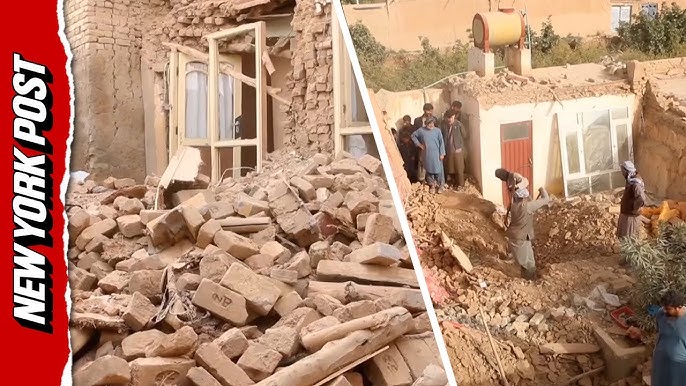 Kavkaz yaxshi sikadi