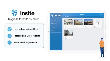 Insite Audit & Snag Preview