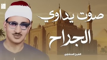 صوت يداوي الجراح تلاوة تريح القلب للشيخ محمد صديق المنشاوي