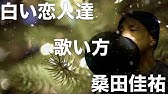 カラオケ 白い恋人達 桑田佳祐 Youtube