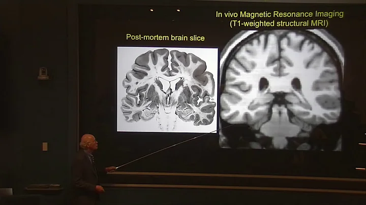 David Van Essen - Mapping Human Cerebral Cortex (April 3, 2019)