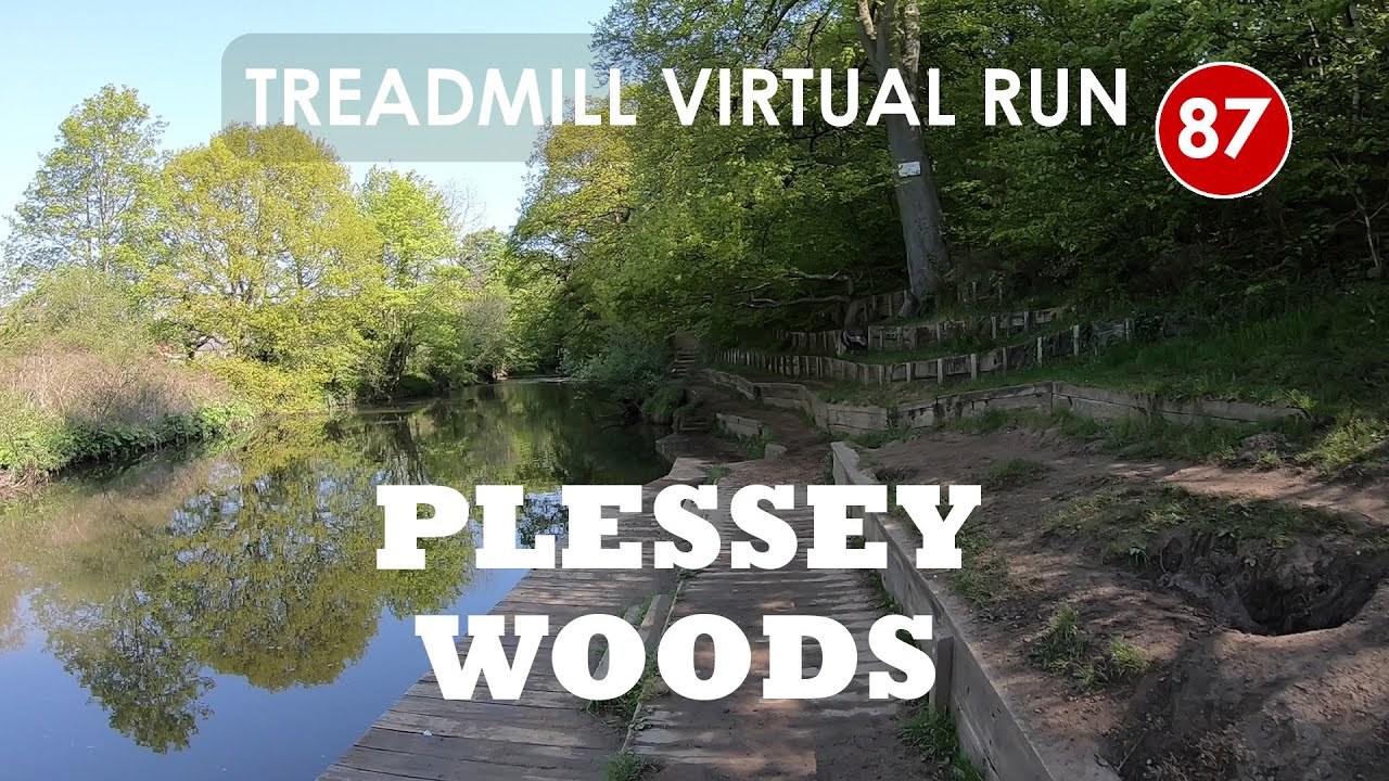 Treadmill Virtual Run 87 Plessey Woods Country Park and Stannington