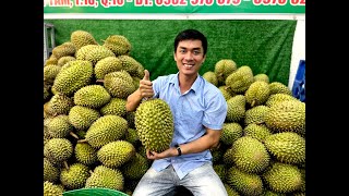 Sầu riêng Anh Thanh &quot;đi khách&quot; khắp Sài Gòn, cơm vàng hột lép không nhúng thuốc cháy hàng