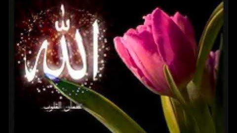 ذلكم الله ربكم(كلمات رائعه وتلاوه مؤثره)