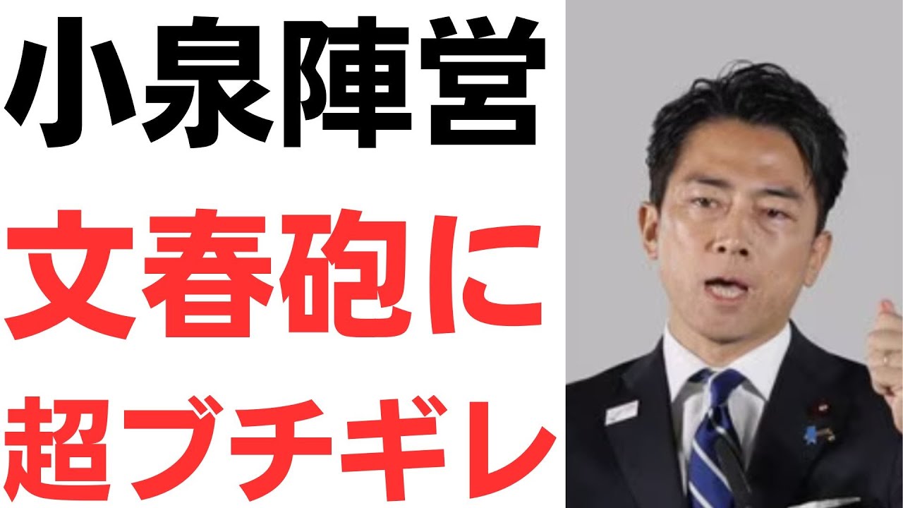 小泉氏陣営の党員離党問題と説明を扱う動画のサムネイル
