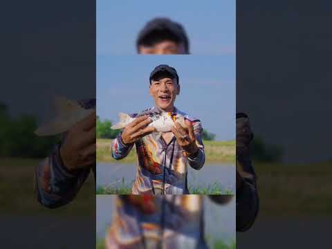 Cho Vk Đi Câu Là Biết Kết Quả Rồi