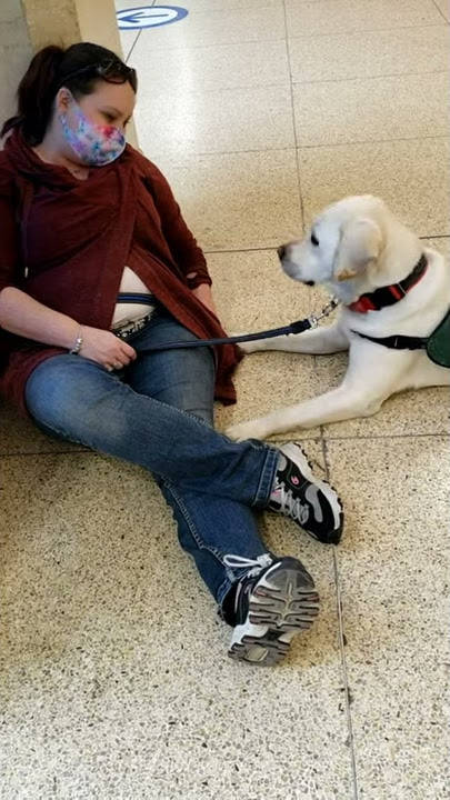 PTSD Service Dog task 1
