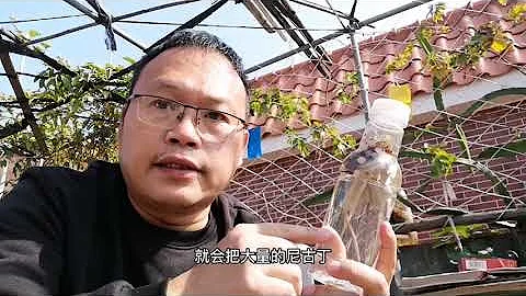 揭秘！最简单方法杀“红蜘蛛”！简单又有效 - 天天要闻