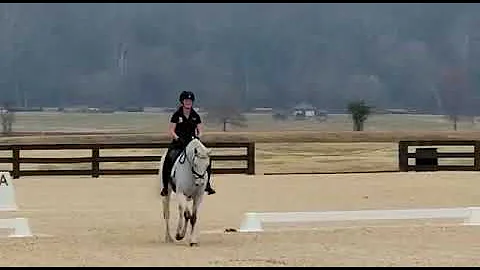 Smoky Four | Novice Test B 2022 | Chatt Hills Dec 2021 | FOR SALE