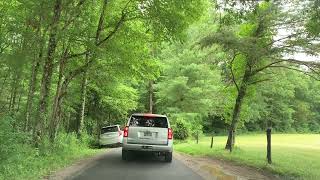 Scenic drive on Cades Cove Loop at Great Smoky Mountain National park