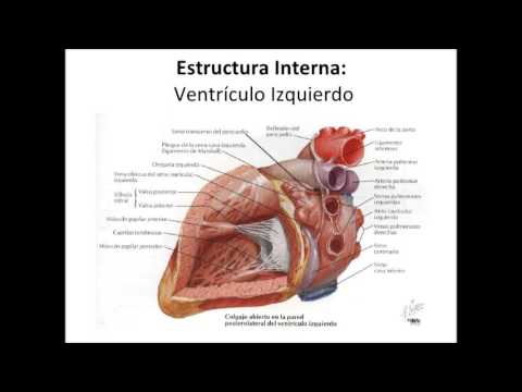 isosorbide