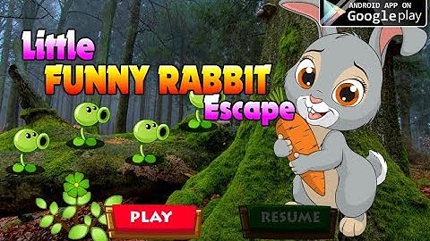 Avm Little Funny Rabbit Escape Walkthrough [AvmGames]