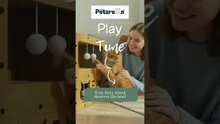 Why Pet Owners love It #cat #pets #foryou #funny #cute #catlovers #