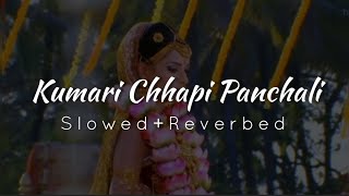 Kumari Chhapi Panchali slowedreverbed  Panchali Main Theme  Mahabharat Slowed And Reverbed Song