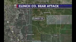 Pineland bear attack 